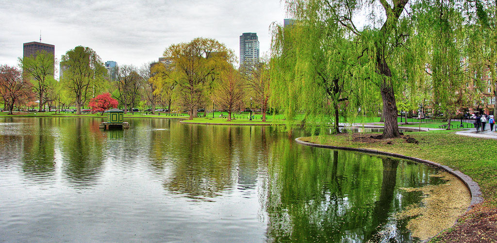 Photo from Flickr Creative Commons